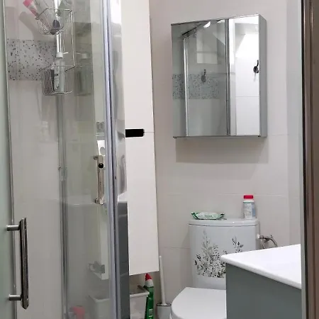 Daire Style Loft Avec Jacuzzi A 150m De La *