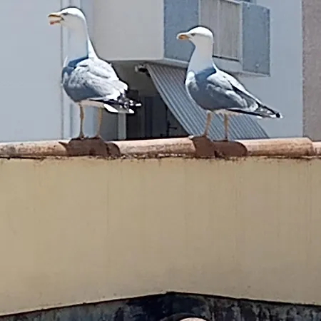 Style Loft Avec Jacuzzi A 150m De La Toulon